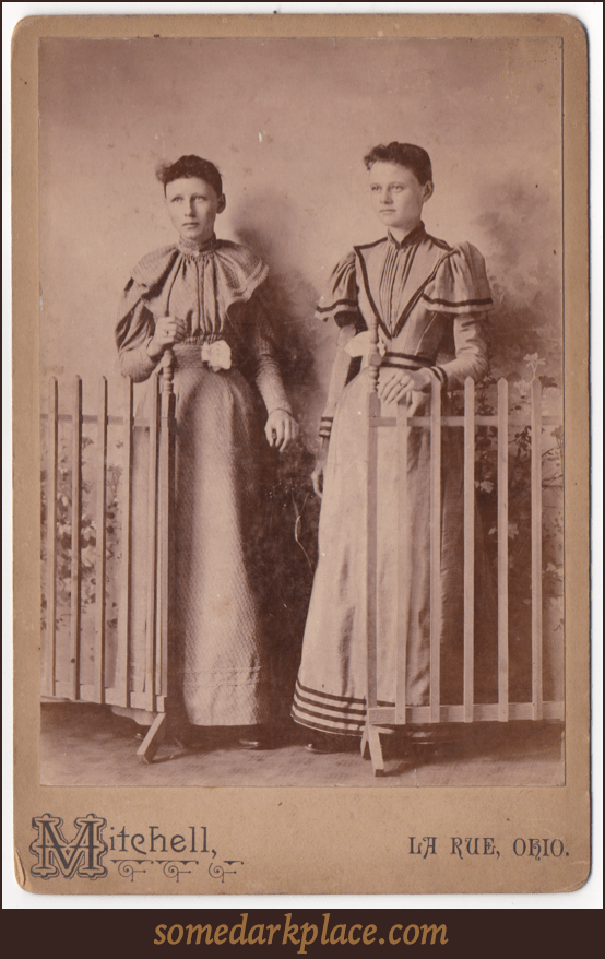 Two young women. One in partial profile. One looking ahead. Both are wearing similar full length dresses. Their hair is either short or pulled back. They stand at a gate in front of a painted background.